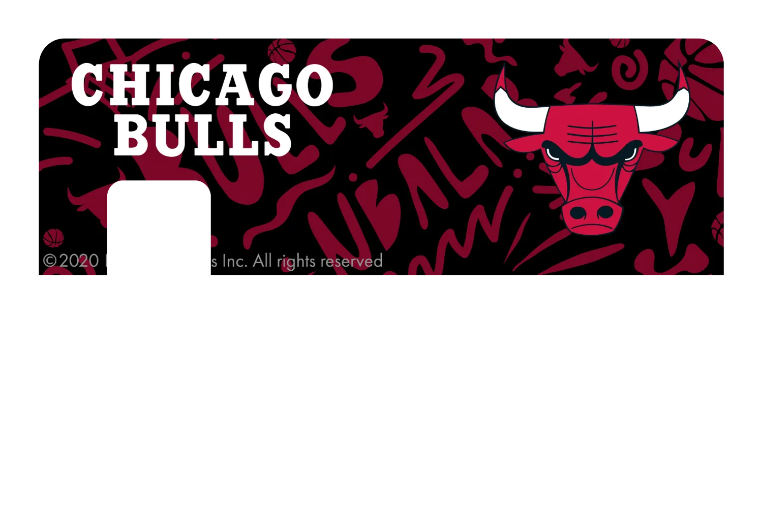 Chicago Bulls: Team Mural