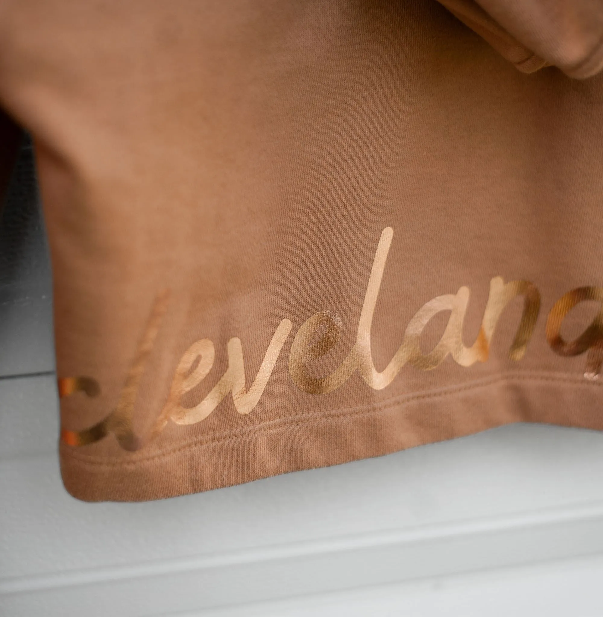 Cleveland Browns Fun Rework Hoodie