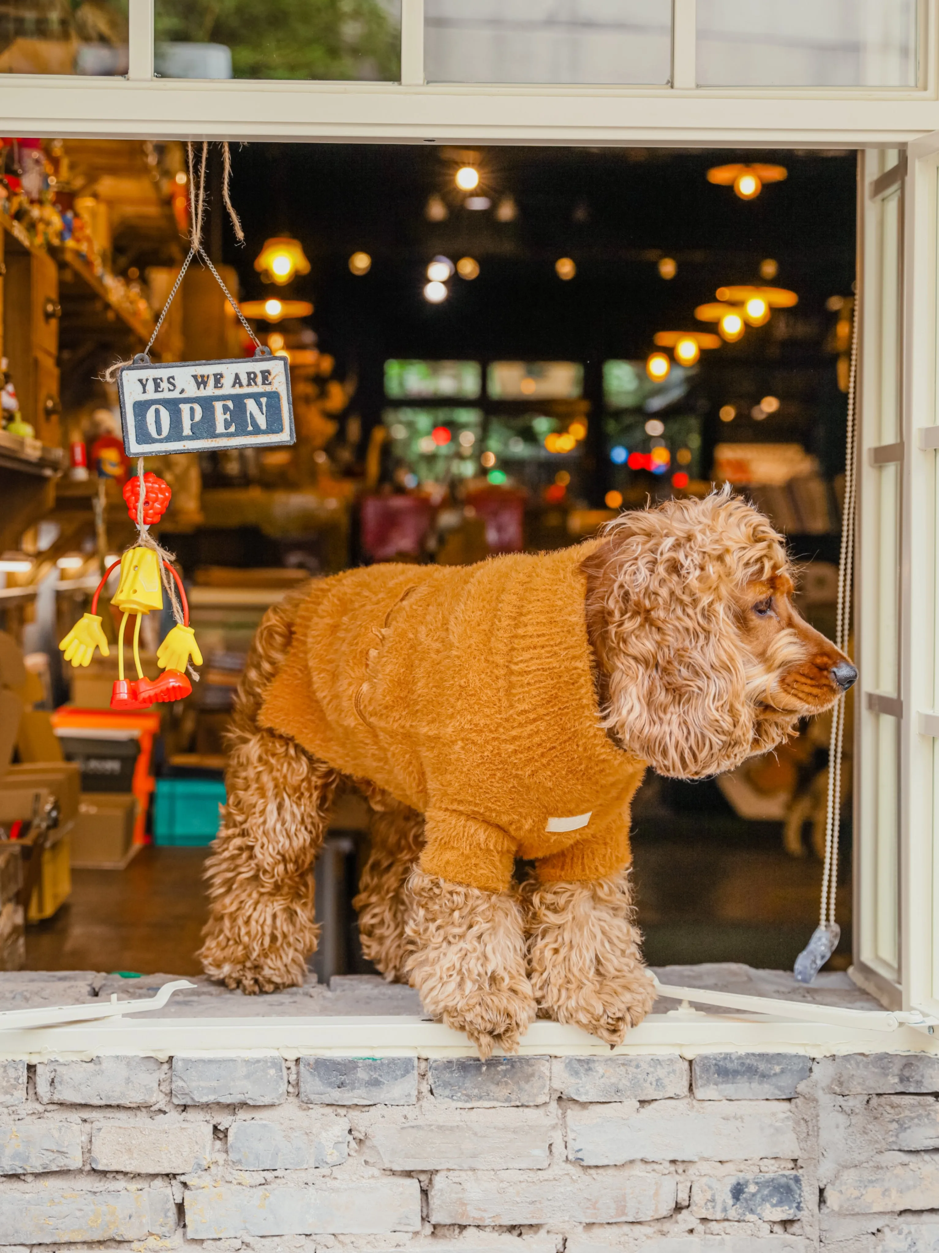 Eskimo Fuzzy Sweater - Orange