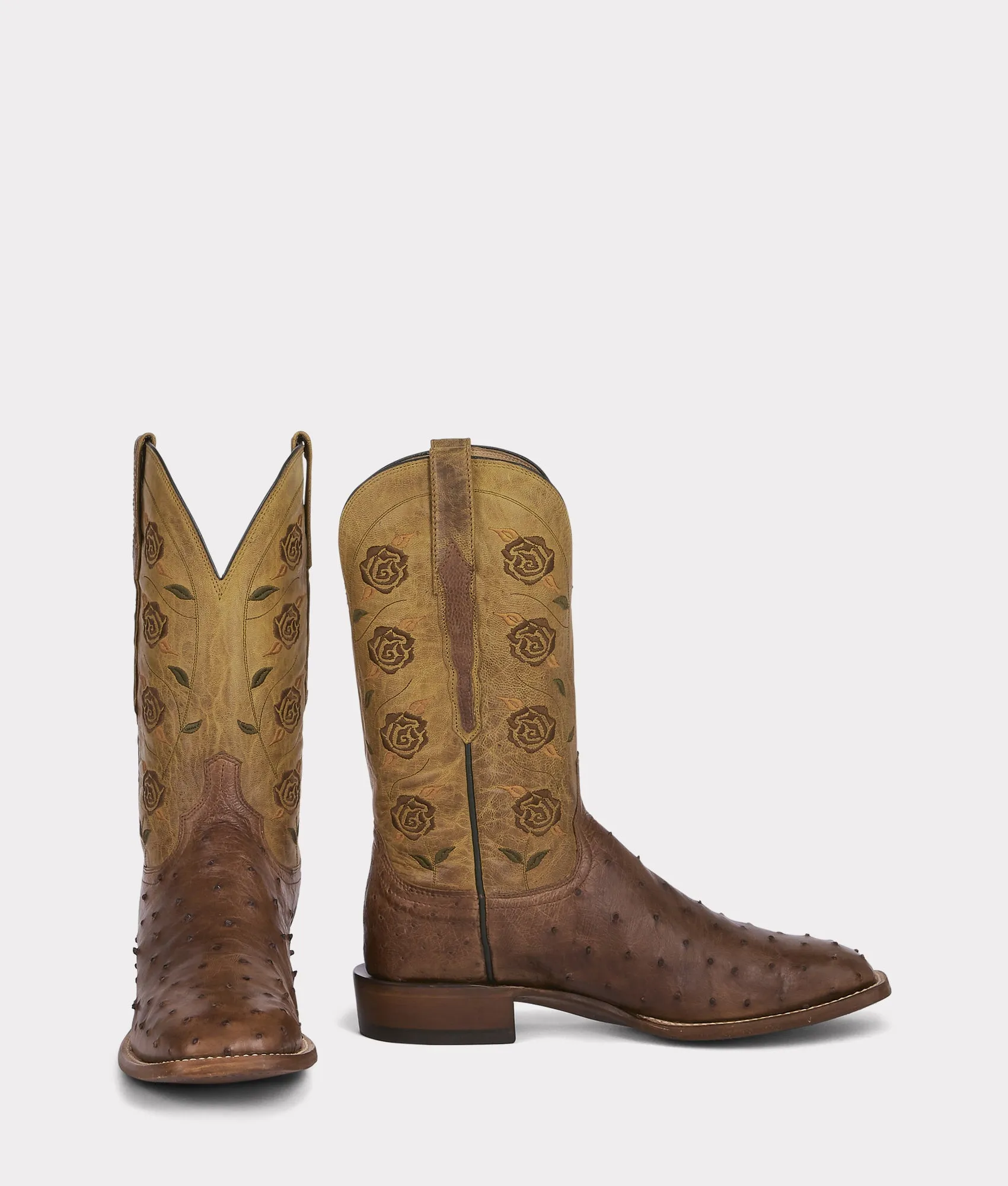 Hollywood Gold :: Brown
