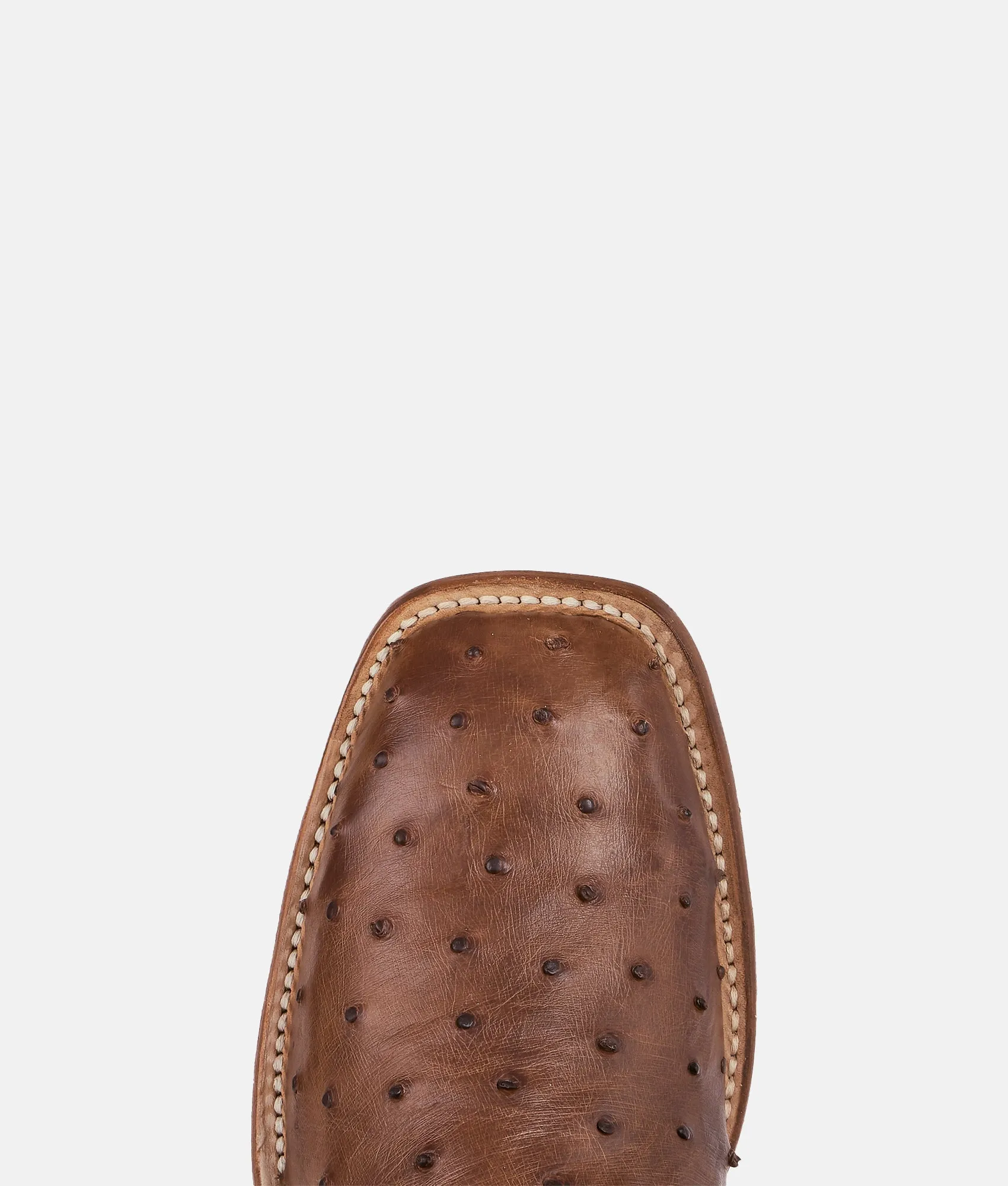 Hollywood Gold :: Brown