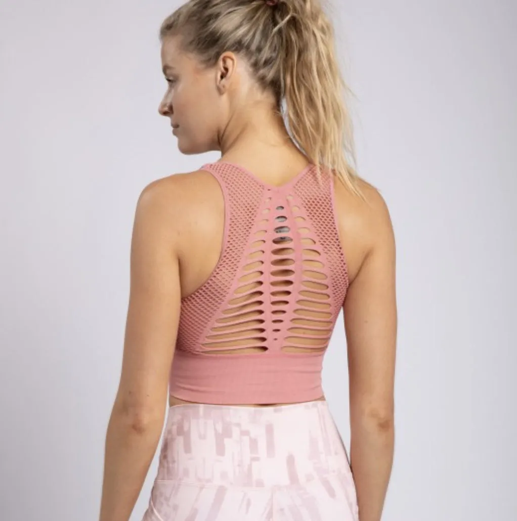 Laser Cut Seamless Sports Bra