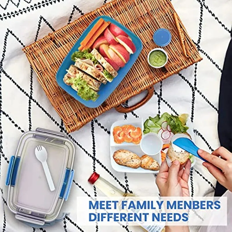 LLunch and Saladd  Rectangular Plastic Compartment Sealed Box