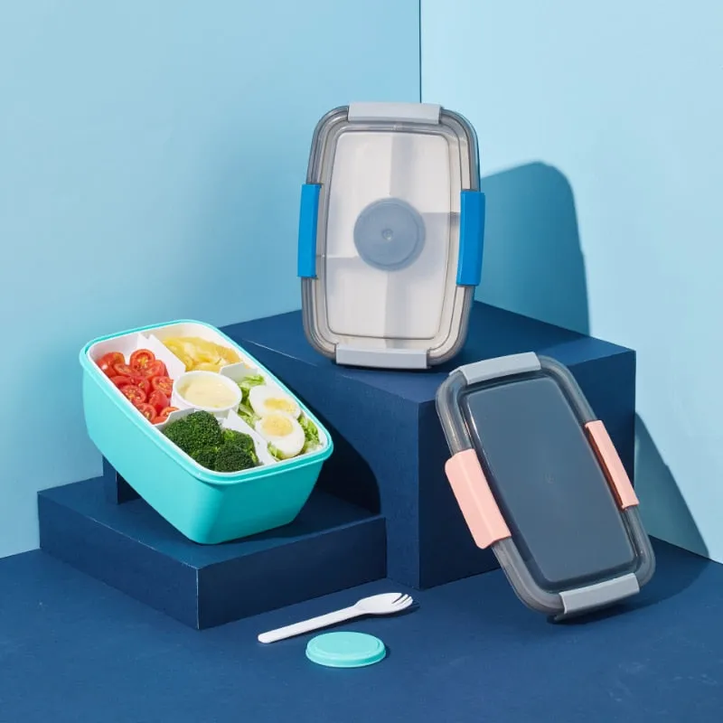 LLunch and Saladd  Rectangular Plastic Compartment Sealed Box